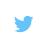 Twitter Icon